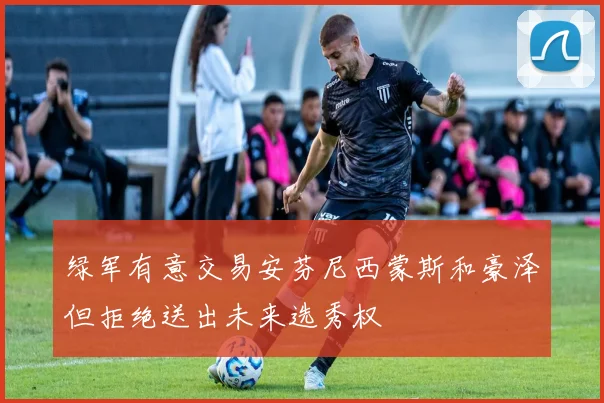 绿军有意交易安芬尼西蒙斯和豪泽但拒绝送出未来选秀权