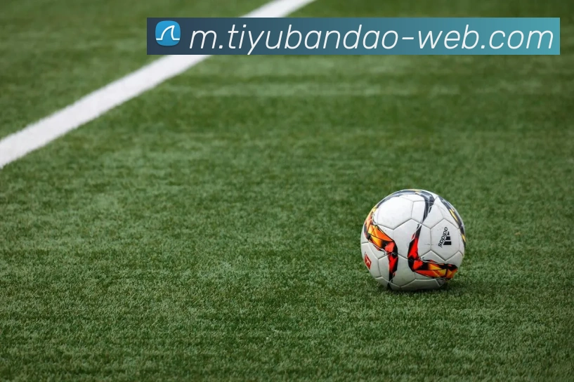 半岛体育平台生态图