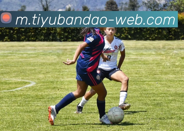 半岛体育APP 封面图